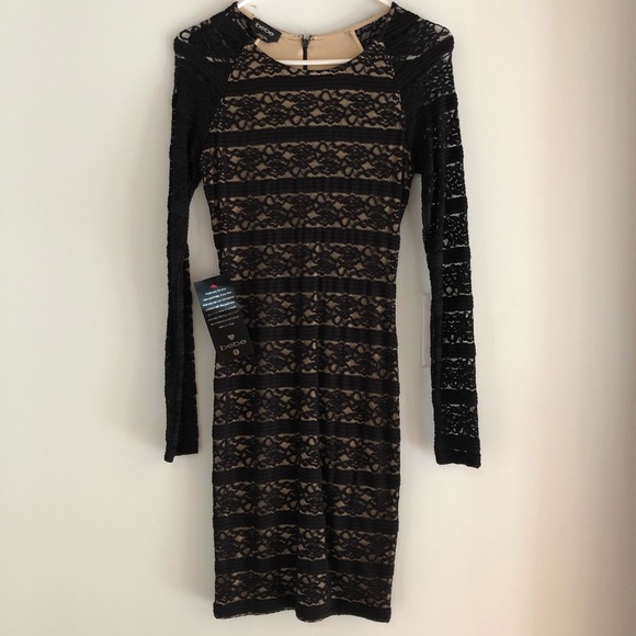 Bebe Pencil Stripe Lace Dress in Black & Nude Lace - Picture 3 of 6